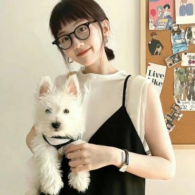奇犬良缘